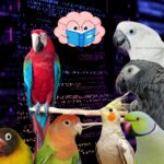 Decoding Parrot Minds Bird Behavior Emotions And Intelligence