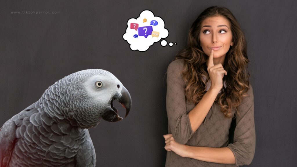 Signs Your African Grey Might Be Dehydrated