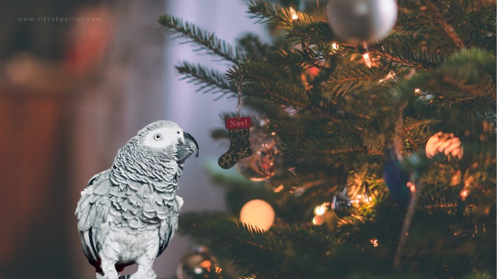 Parrot and the Christmas Tree