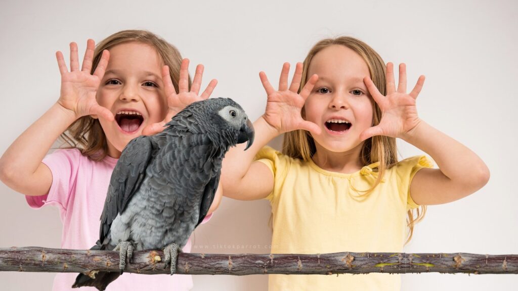 6 Tips to Raise an African Grey Parrot in a House With Children